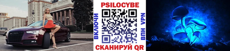 Галлюциногенные грибы Psilocybine cubensis Купить Переславль-Залесский